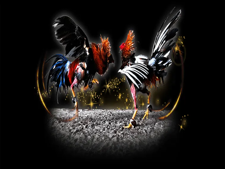 Bí Kíp Chinh Phục Cách Chơi Đá Gà Sabong Tại J88 Từ Cao Thủ